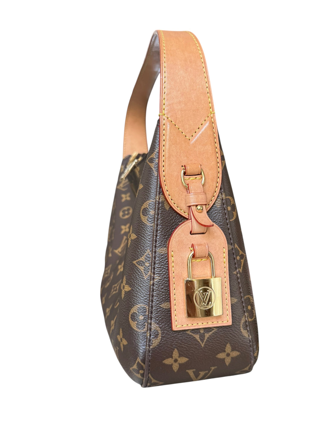 Louis Vuitton Slouchy pm in Monogram Canvas.