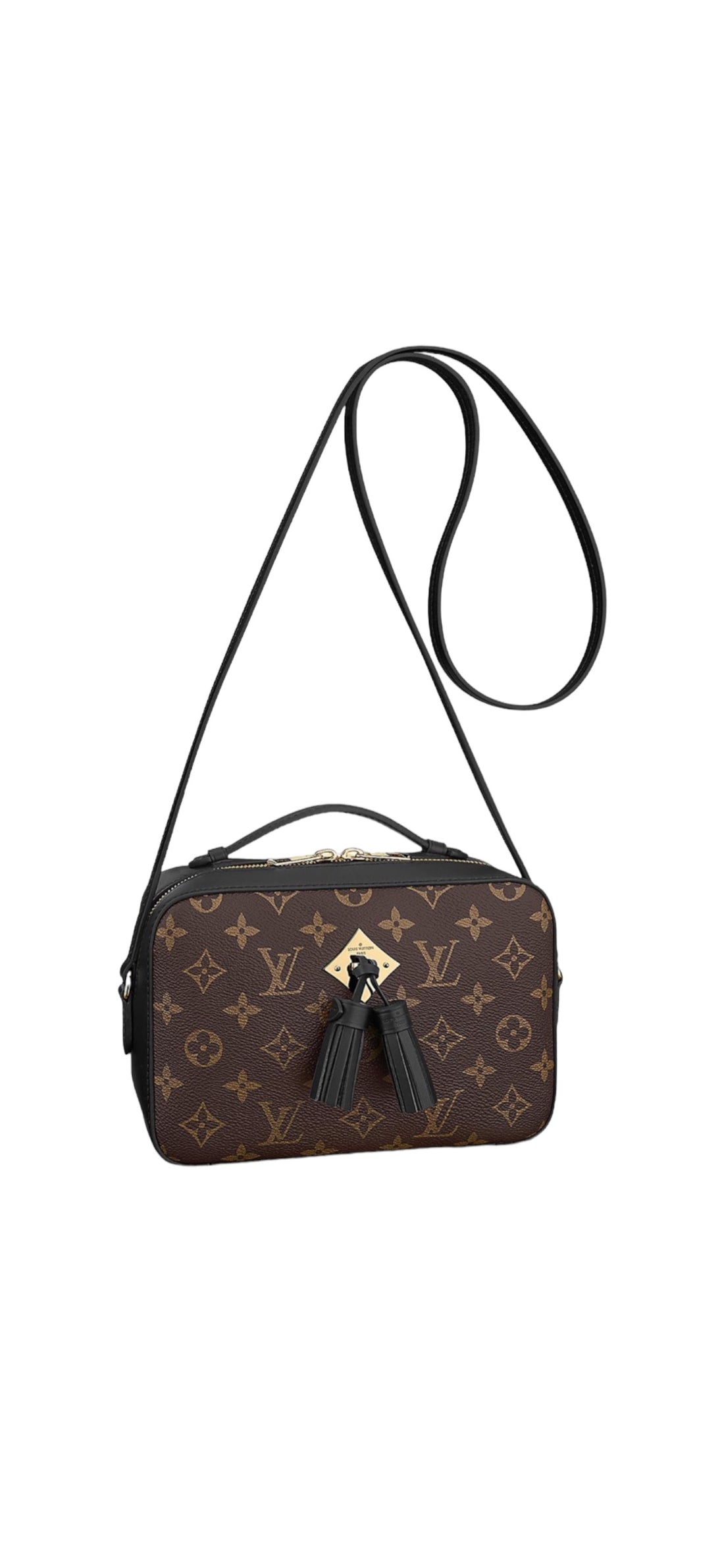 Louis Vuitton Saintonge Camera Bag