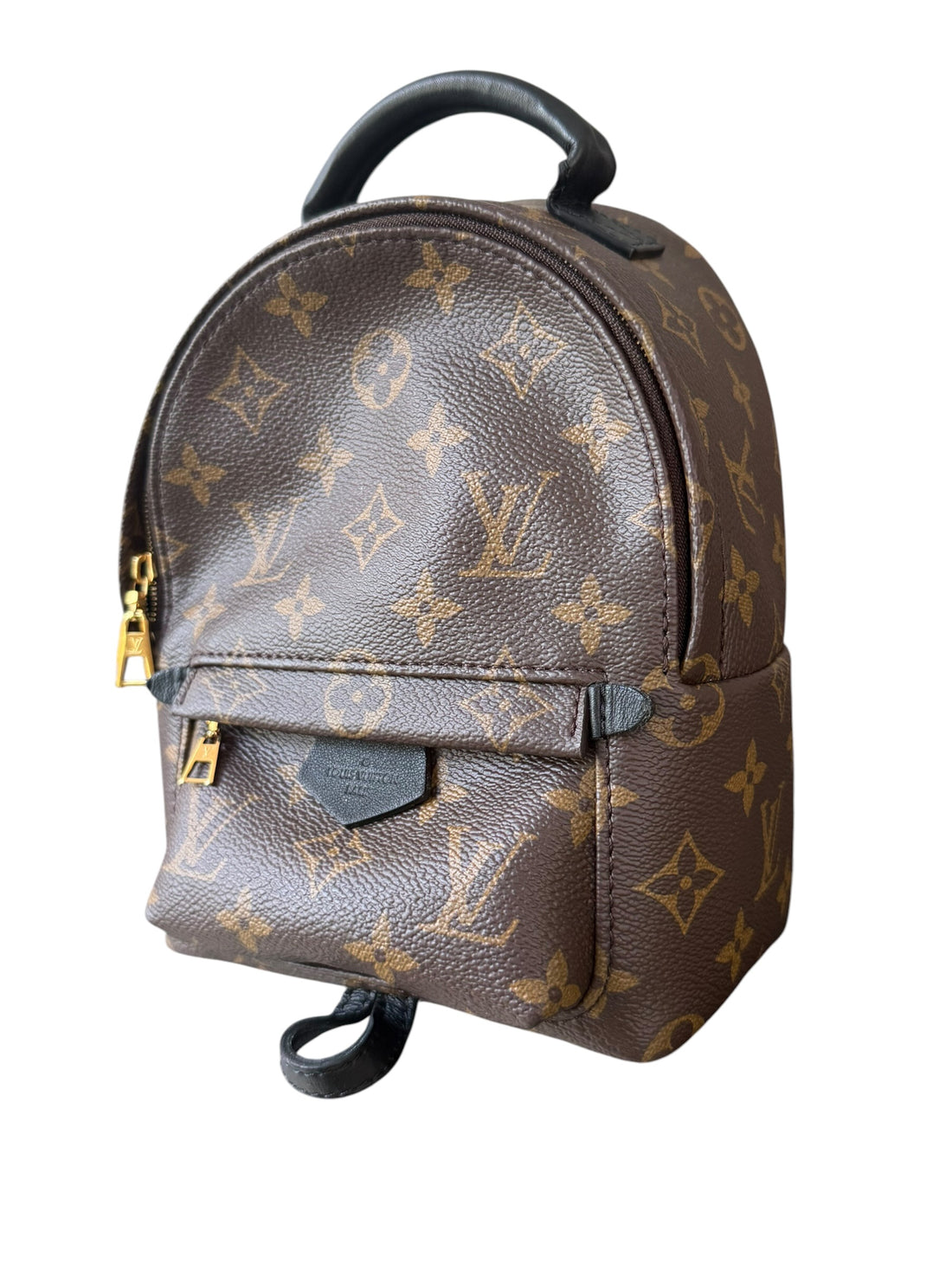 Louis Vuitton Palm Spring Mini Rucksack in Monogram und Schwarz