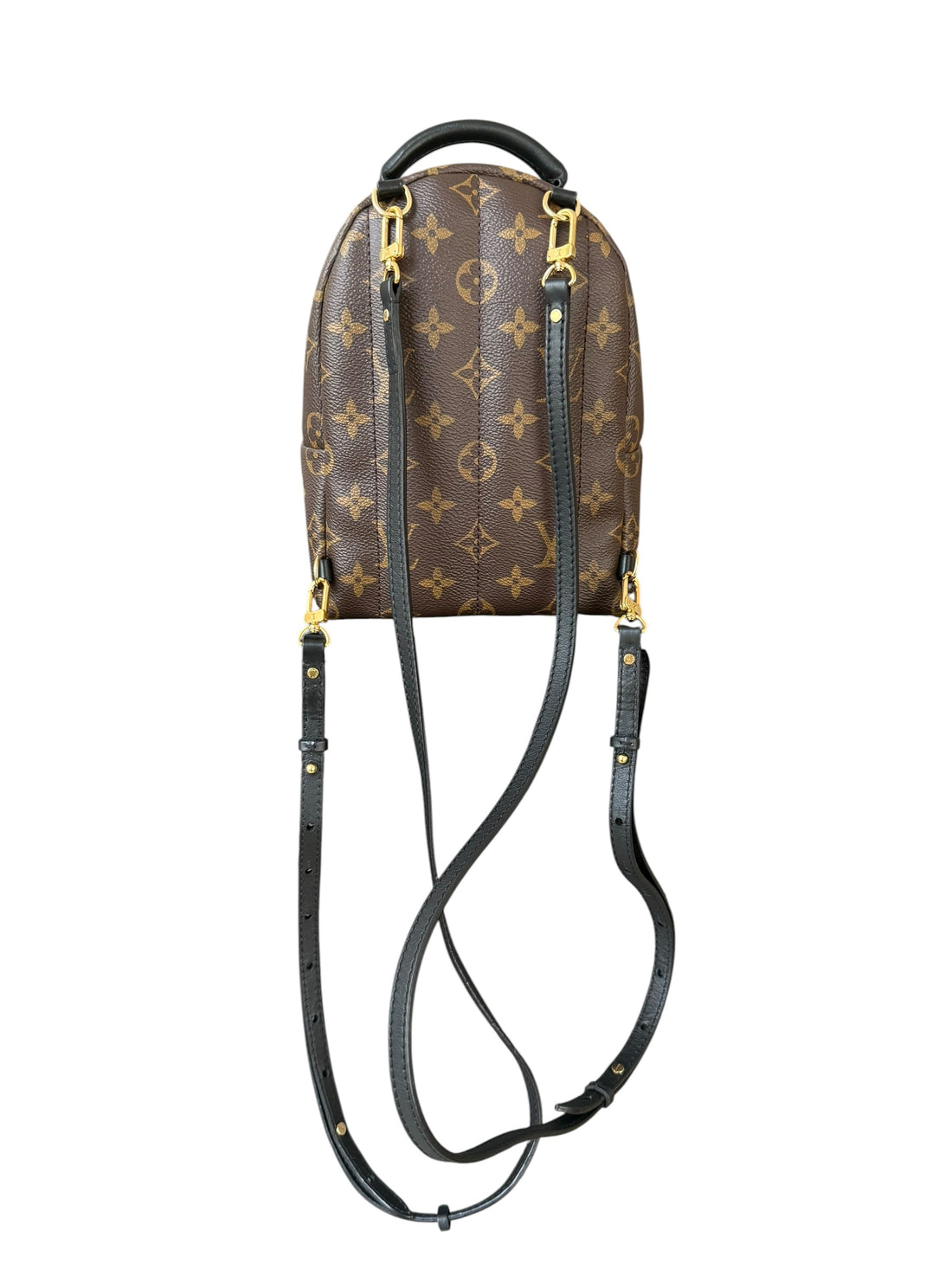 Louis Vuitton Palm Spring Mini Rucksack in Monogram und Schwarz