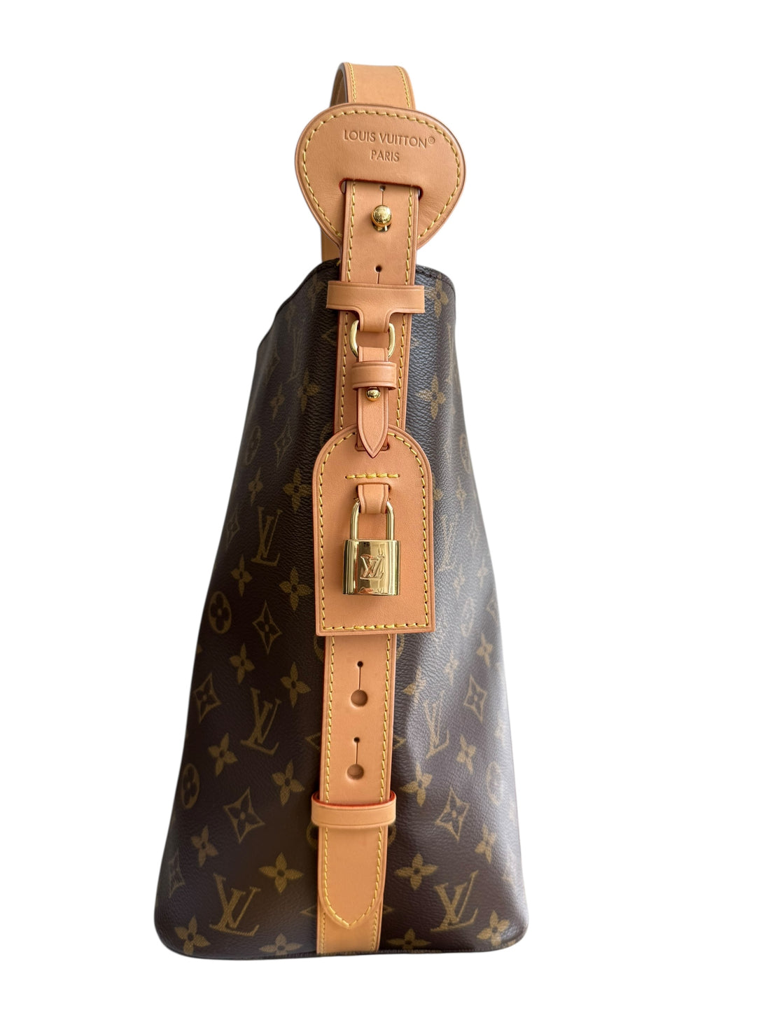 Louis Vuitton All In GM in Monogram Canvas