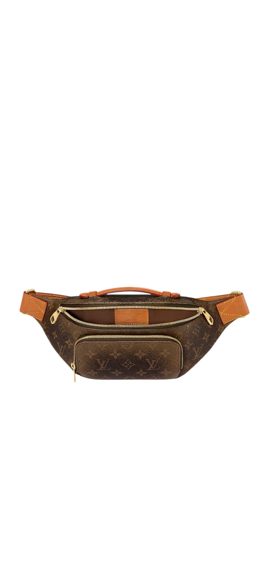 Louis Vuitton Rush Bumbag in Dust Canvas