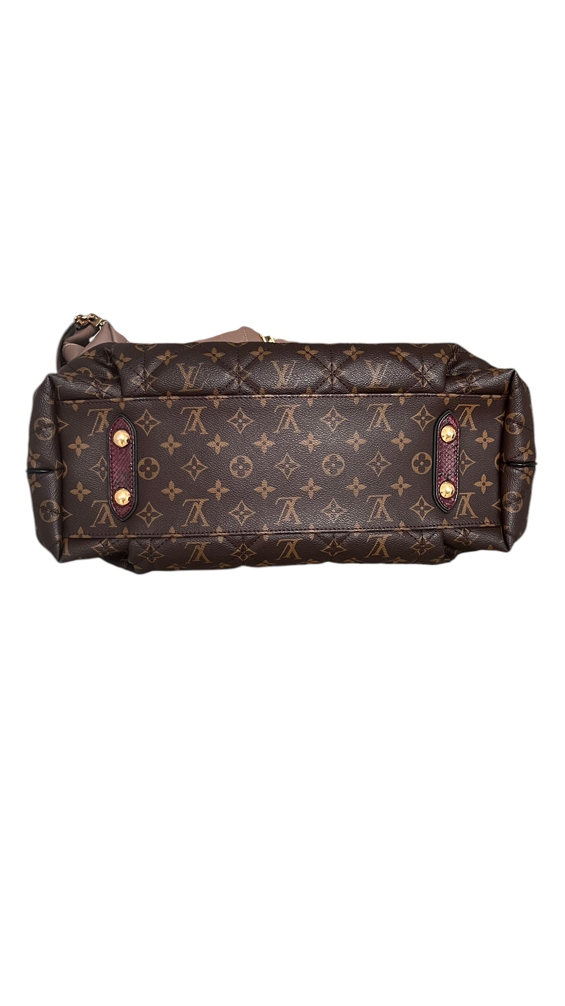 Louis  Vuitton Etoile Monogram Handtasche Exotenleder