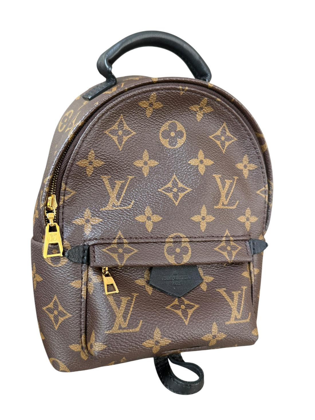 Louis Vuitton Palm Spring Mini Rucksack in Monogram und Schwarz