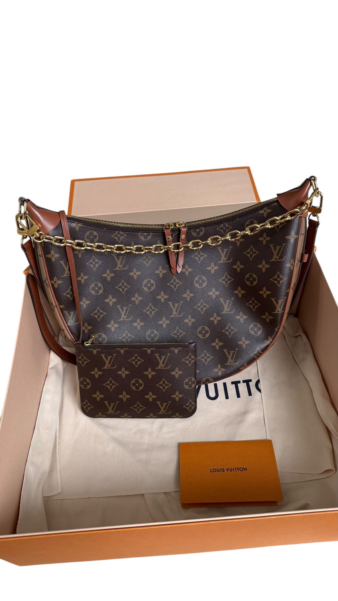 Louis Vuitton Loop Hobo Bag