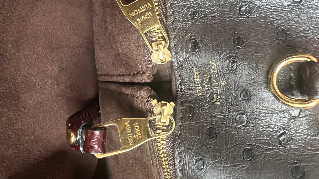 Louis  Vuitton Etoile Monogram Handtasche Exotenleder