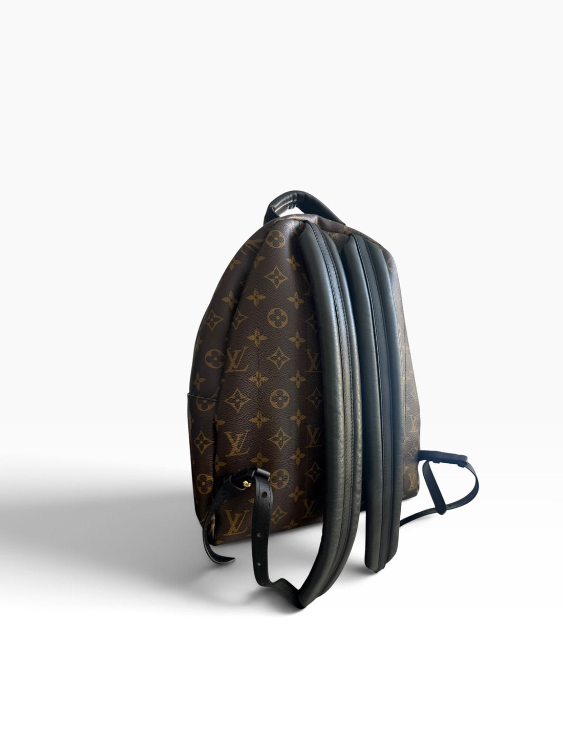 Louis Vuitton Palm Springs Rucksack Monogram.