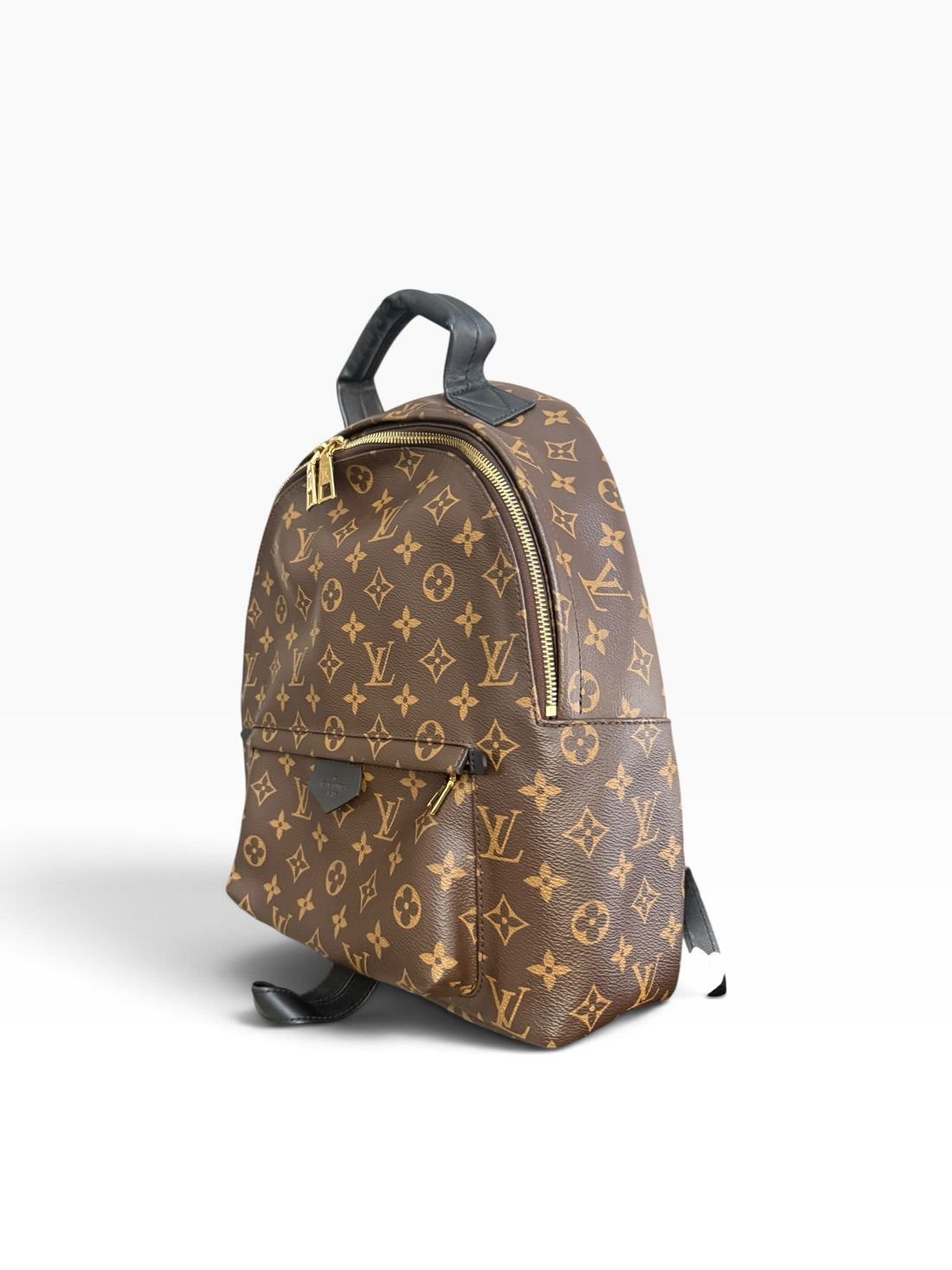 Louis Vuitton Palm Springs Rucksack Monogram.