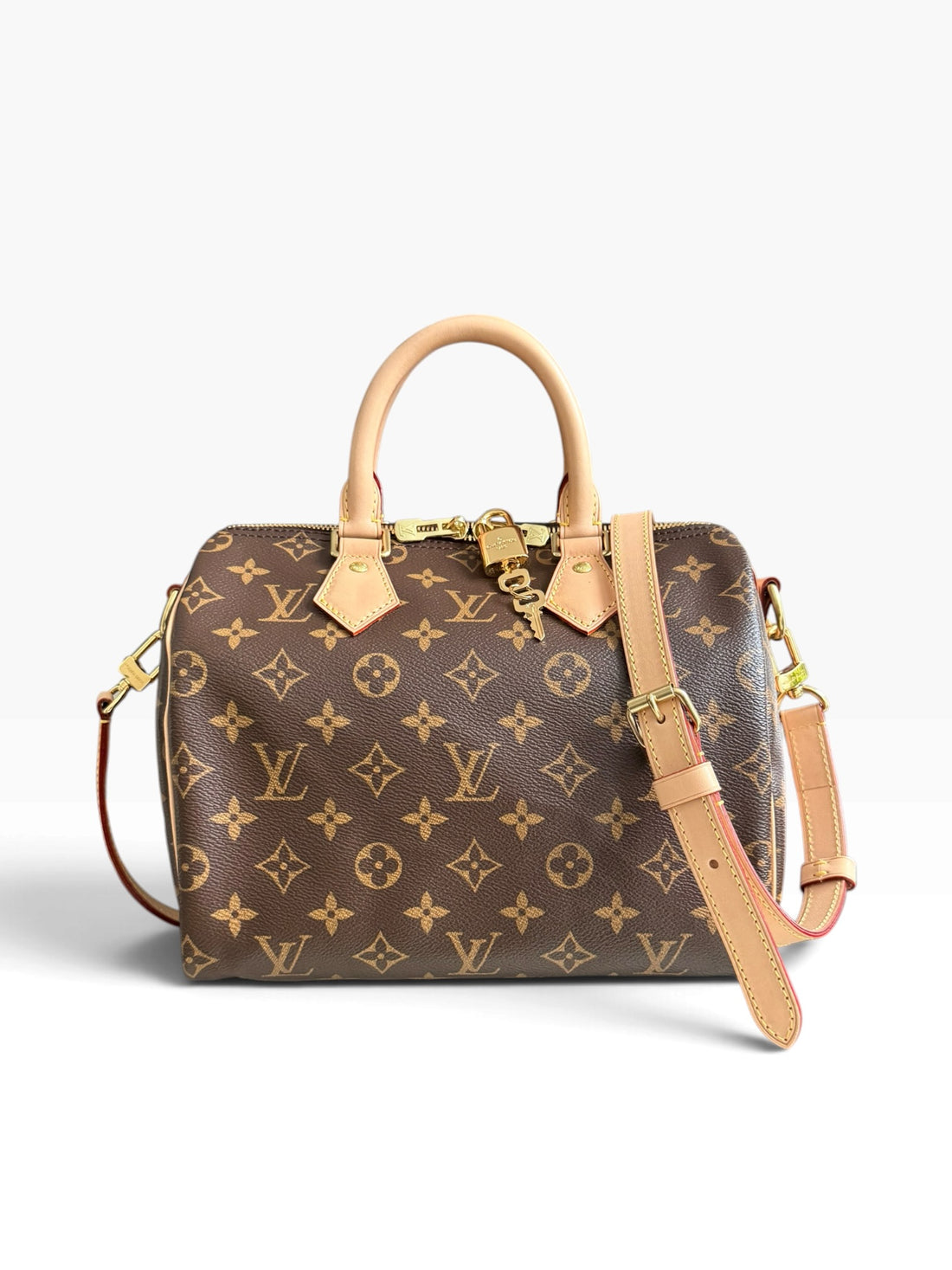 Louis Vuitton Speedy 25 in Monogram Canvas