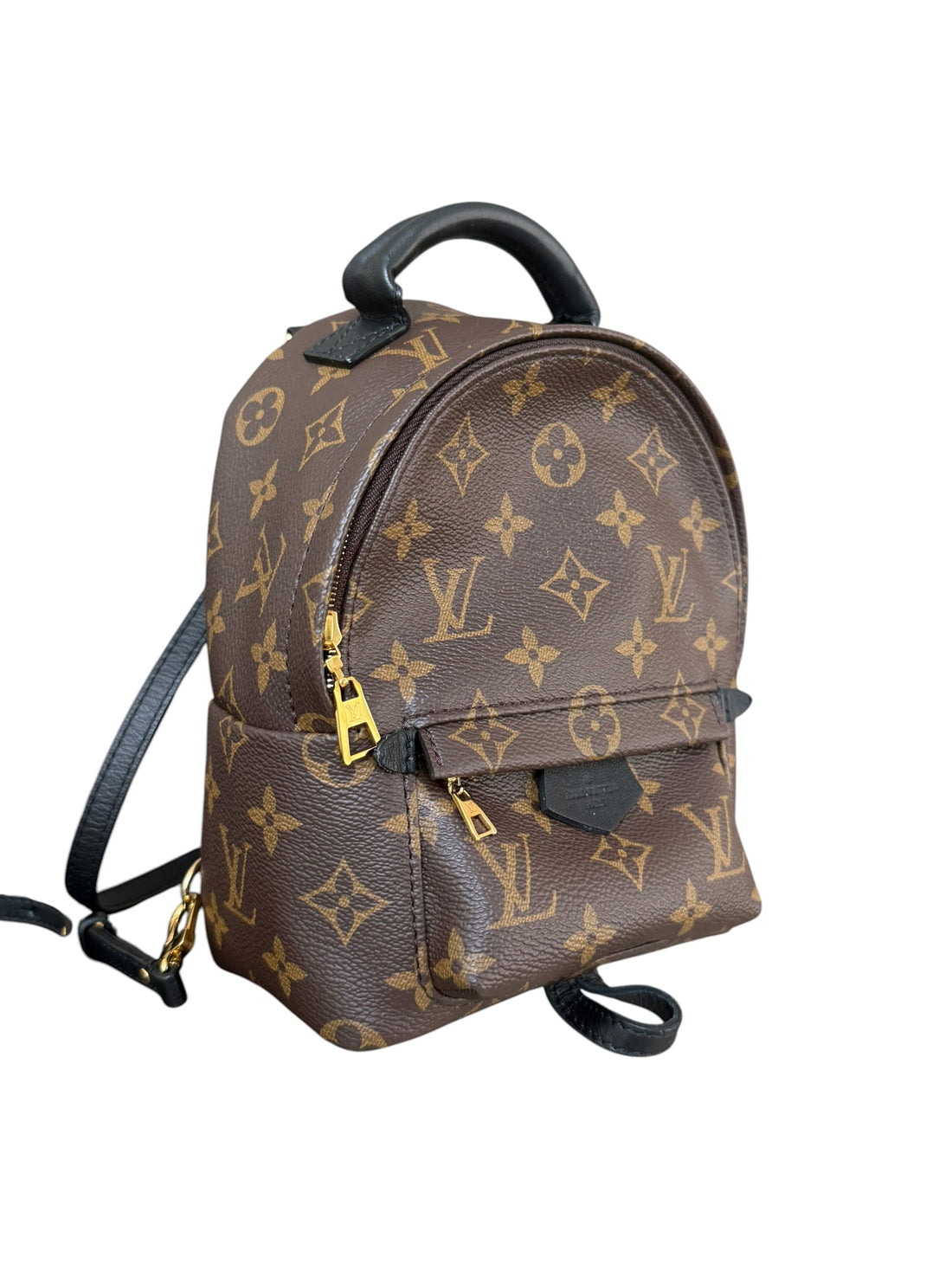 Louis Vuitton Palm Spring Mini Rucksack in Monogram und Schwarz