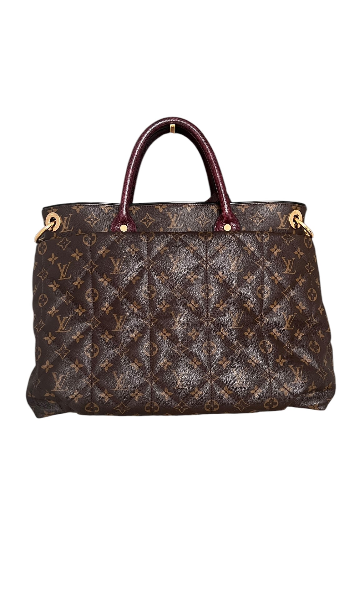 Louis  Vuitton Etoile Monogram Handtasche Exotenleder